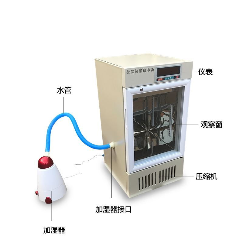 經濟型恒溫恒濕培養箱2.jpg